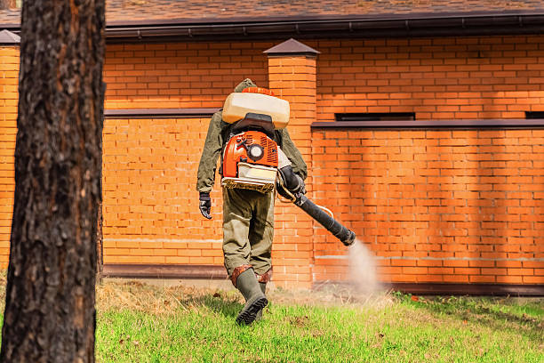 Trusted Ant Control service in Bentleyville, PA - Nex Pest Control